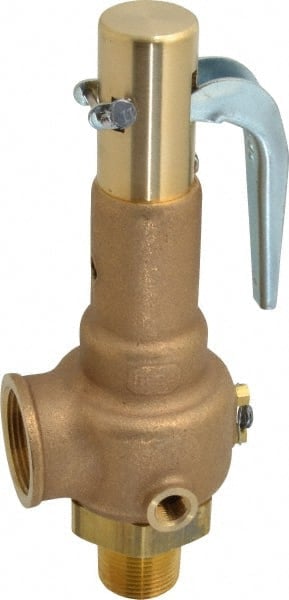 High Pressure Safety Relief Valve: 1