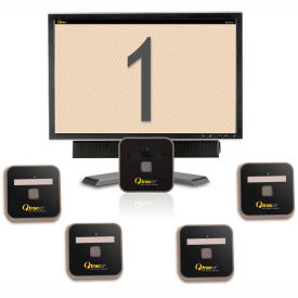 Example of GoVets Electronic Queuing Systems category