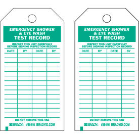 Brady® 86446 Emergency Shower & Eye Wash Test Record Tag 10/Pkg HD Polyester 3