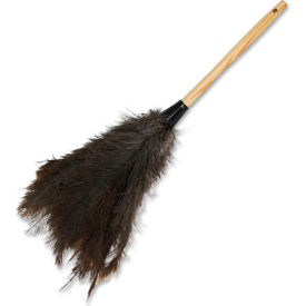 Genuine Joe Feather Duster 18