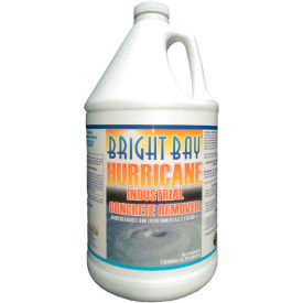 Hurricane Industrial Concrete Remover Gallon Bottle 1/Case - H1128 H1128