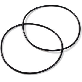 RPB Safety O-Ring Set of 2 04-919