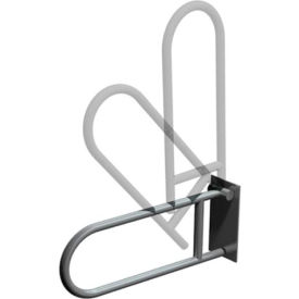 ASI® Swing Up Grab Bar - 3413-P 10-3413-P