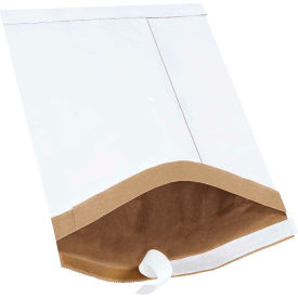 GoVets™ Self Seal Padded Mailers #3 8-1/2