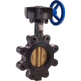 Legend Valve® T-365AB-G Butterfly Valve with EPDM Seals & Gear Operator 10