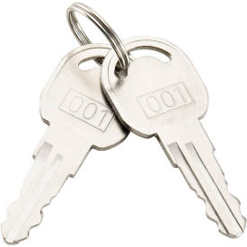 Replacement Keys For Outer Door of GoVets™ Narcotics Cabinet 436951 2pcs Key# 001 901RP9