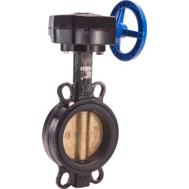 Legend Valve® T-337AB-G Butterfly Valve with BUNA Seals & Gear Operator 10