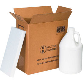 GoVets™ Two 1 Gal. Plastic Jug Haz Mat Shipper Kit 12