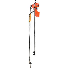 GoVets™ Air Chain Hoist 1000 lb Cap. 10' Lift Single Reeved 45 FPM Lift Speed 627298