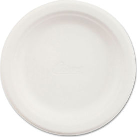 Chinet® Paper Dinnerware Plates 6