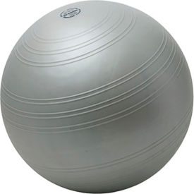 TOGU® ABS® Powerball Challenge 55-65 cm (22-26 in) Silver 30-4020