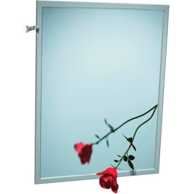 ASI® Adjustable Tilt Stainless Steel Frame Mirror - 18