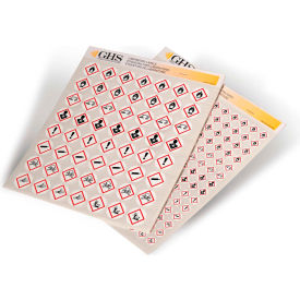 INCOM® GHS1299 GHS Variety Pack Pictogram Label 1