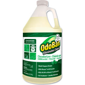 Concentrated Odor Eliminator And Disinfectant Eucalyptus 1 Gal Bottle 911062G4EA