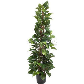 Nearly Natural 63'' Pothos Climbing Silk Plant 6613