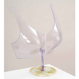 Free Standing Bra Form - Clear Plastic - Pkg Qty 5 XS417