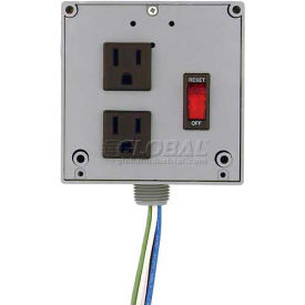 RIB® Enclosed Power Control Center PSPW2RB4 4A Breaker/Switch 120VAC 2 Outlets Wires PSPW2RB4