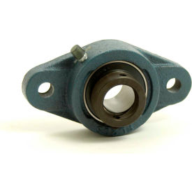 Tritan HCFLU206-20 Flange Mount Bearing 2 Bolt Flange Eccentric Locking Collar Bore 31.25 mm HCFLU206-20