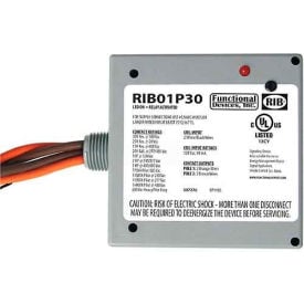 RIB® Enclosed Power Relay RIB01P30 30A DPST 120VAC RIB01P30