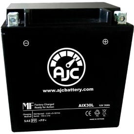 AJC Battery BMW R90/6 R9OS 900CC Motorcycle Battery (1969-1976) 30 Amps 12V B Terminals AJC-PS-AIX30L-520189