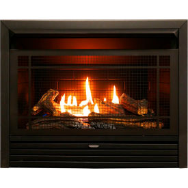 Duluth Forge Dual Fuel Ventless Gas Fireplace Insert 26000 BTU Remote Control FDF300R