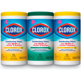 Clorox® Disinfecting Wipes Fresh Scent & Citrus Blend 75 Wipes/Canister Pack of 3 30208PK