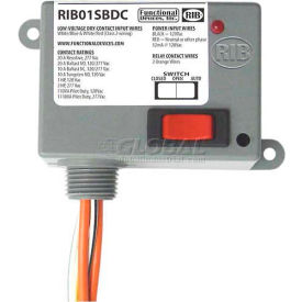 RIB® Dry Contact Input Relay RIB01SBDC Enclosed 120VAC 20A SPST Override RIB01SBDC