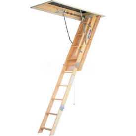 Example of GoVets Mounted Ladders category