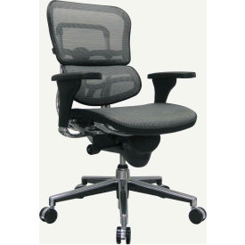 Eurotech Mesh Managers Chair - Mid Back - Gray - Ergohuman Series ME8ERGLO-W09-53