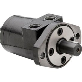 Dynamic Low Speed High Torque Hydraulic Motor 2 Bolt SAE 