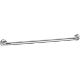 GoVets™ Straight Grab Bar Peened Stainless Steel - 36