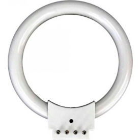 AmScope FRL8B 8W Fluorescent Ring Light Bulb FRL8B