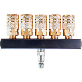 Primefit (5-Way) Air Manifold with 1/4