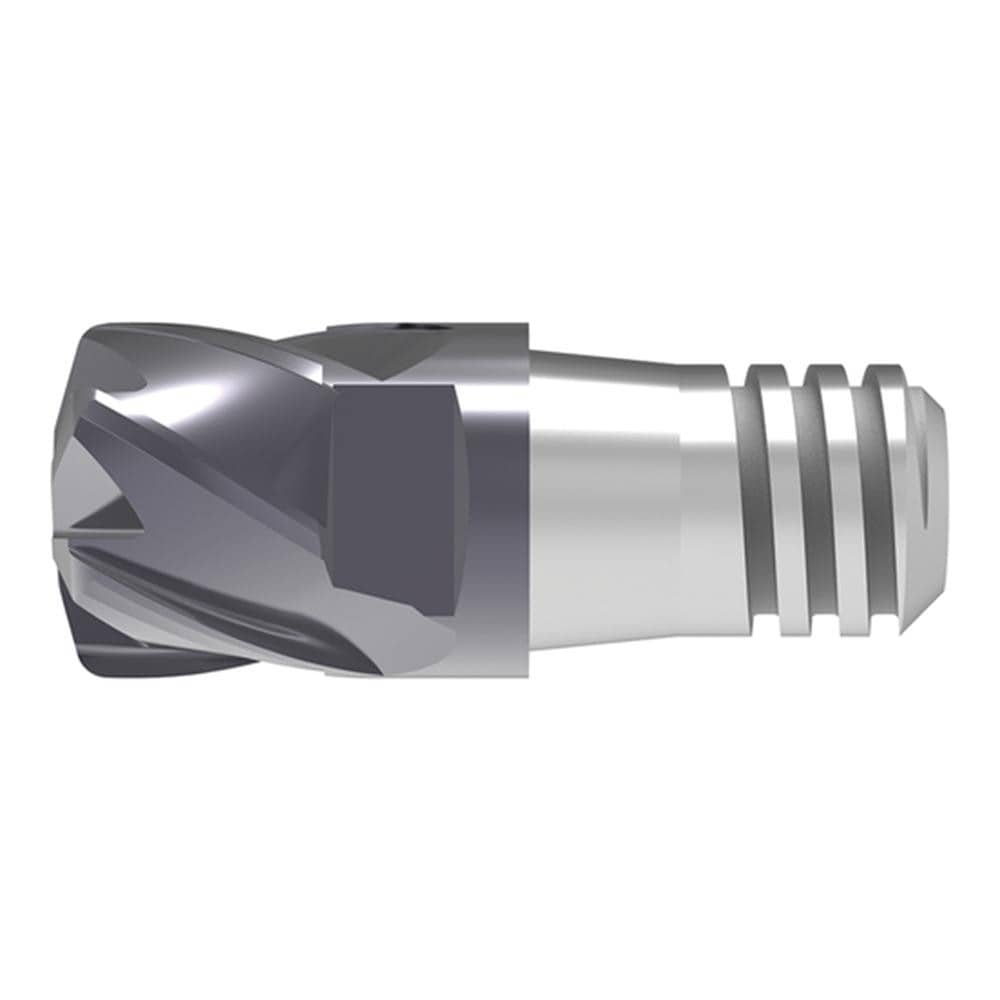 Corner Radius & Corner Chamfer End Mill Heads, Mill Diameter (mm): 6.00 , Length of Cut (mm): 9.0000 , Number Of Flutes: 6 , Overall Length (mm): 30.1000  MPN:52864120