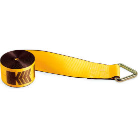 Kinedyne Winch Strap 423010 with Delta Ring - 30' x 4