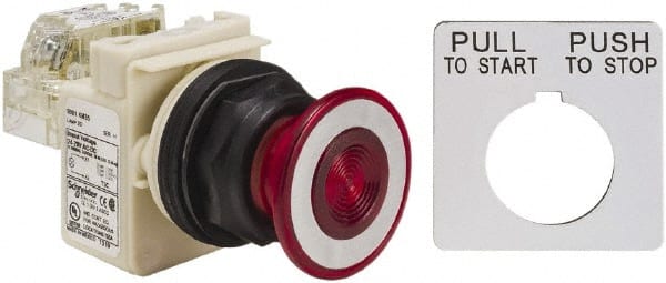 Push-Button Switch: 30 mm Mounting Hole Dia, Maintained (MA) MPN:9001SKR9P35RH13