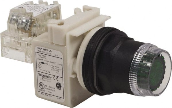 Push-Button Switch: 30 mm Mounting Hole Dia, Momentary (MO) MPN:001SK1L38LGGH13