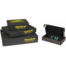 Protektive Pak ESD Shipping Storage Boxes w/ Foam 10-1/2