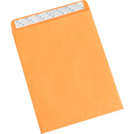 GoVets™ Self-Seal Envelopes 10