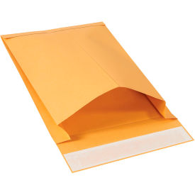 GoVets™ Expandable Self-Seal Envelopes 9-1/2