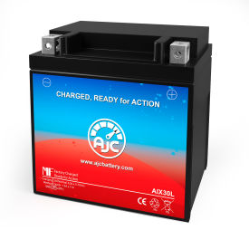 AJC® BRP GTX 4-TEC 1500CC Personal Watercraft Replacement Battery 2003-2007 12V B AJC-PS-AIX30L-521978