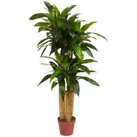 Nearly Natural 4' Corn Stalk Dracaena Silk Plant 6648*****##*