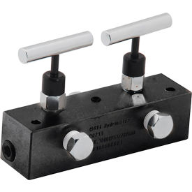 BVA Hydraulic Manifold Block with 2 Needle Valves 6