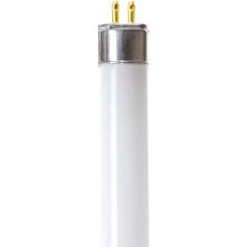 Example of GoVets Fluorescent Bulbs category