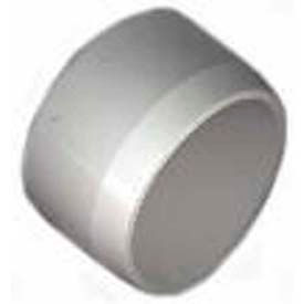 Schedule 40 Pvc Cap Fitting 2