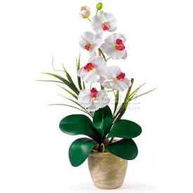 Nearly Natural Phalaenopsis Silk Orchid Flower Arrangement White 1016-WH