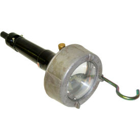 Example of GoVets Hazardous Location Lights category