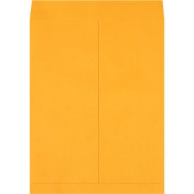 GoVets™ Jumbo Envelopes 17