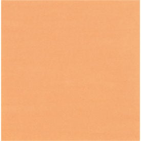 GoVets™ Kraft Paper Sheets 30 lbs. 36