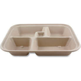 World Centric® Fiber Bento Box Container 12